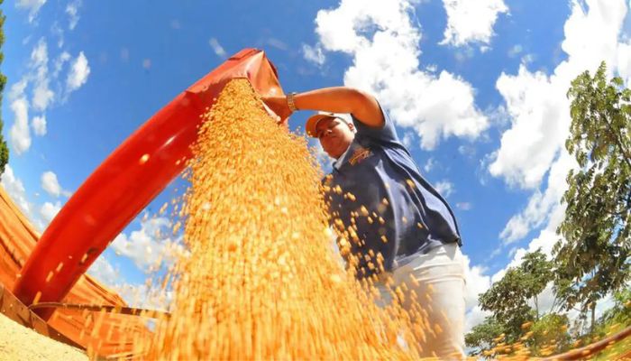  Produção de grãos pode chegar a 353,4 milhões de toneladas 